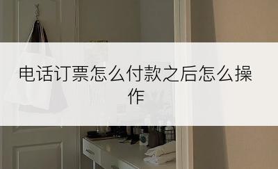 电话订票怎么付款之后怎么操作