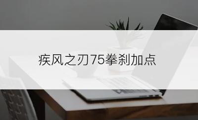 疾风之刃75拳刹加点