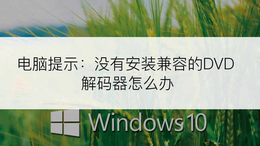 电脑提示：没有安装兼容的DVD解码器怎么办