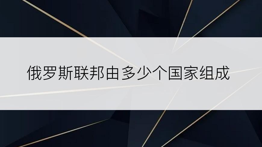 俄罗斯联邦由多少个国家组成