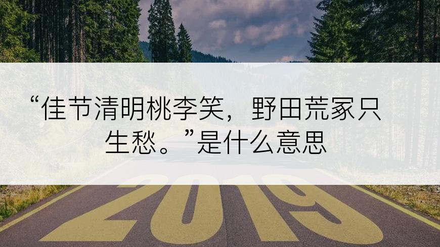 “佳节清明桃李笑，野田荒冢只生愁。”是什么意思