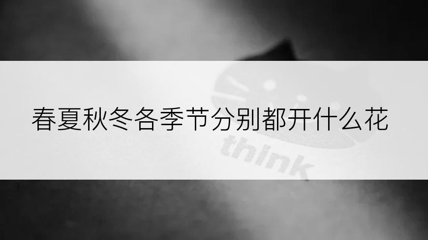 春夏秋冬各季节分别都开什么花