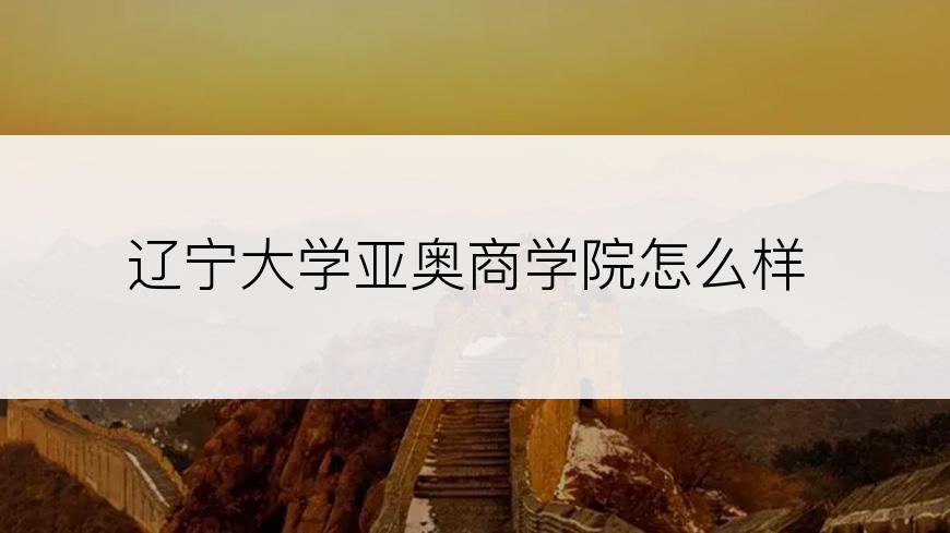 辽宁大学亚奥商学院怎么样