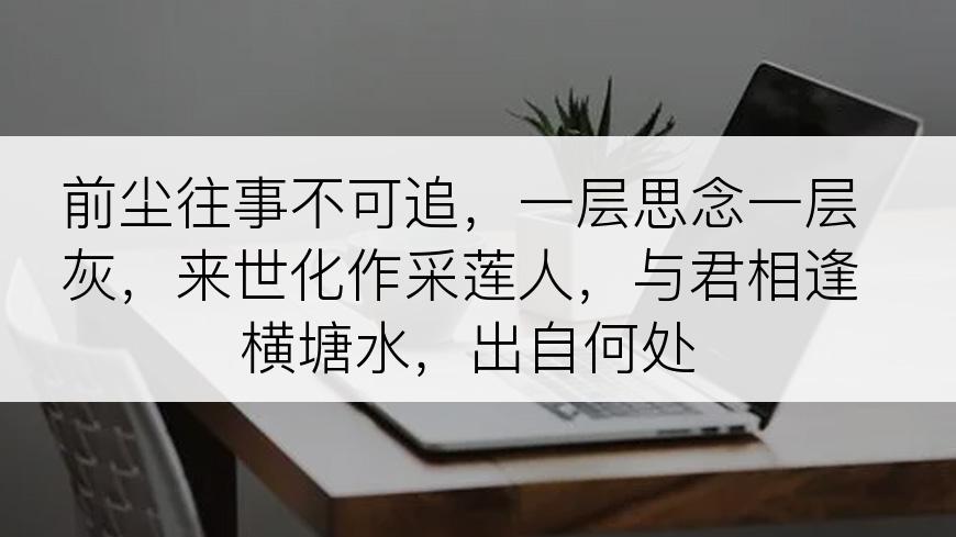 前尘往事不可追，一层思念一层灰，来世化作采莲人，与君相逢横塘水，出自何处