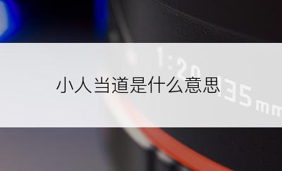 小人当道是什么意思