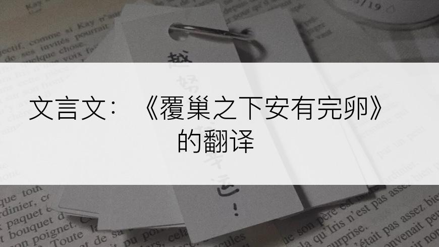 文言文：《覆巢之下安有完卵》的翻译