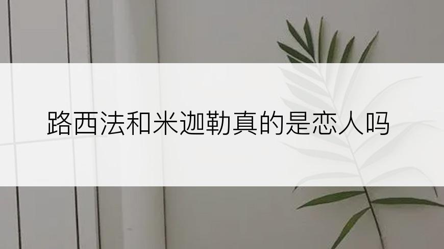 路西法和米迦勒真的是恋人吗