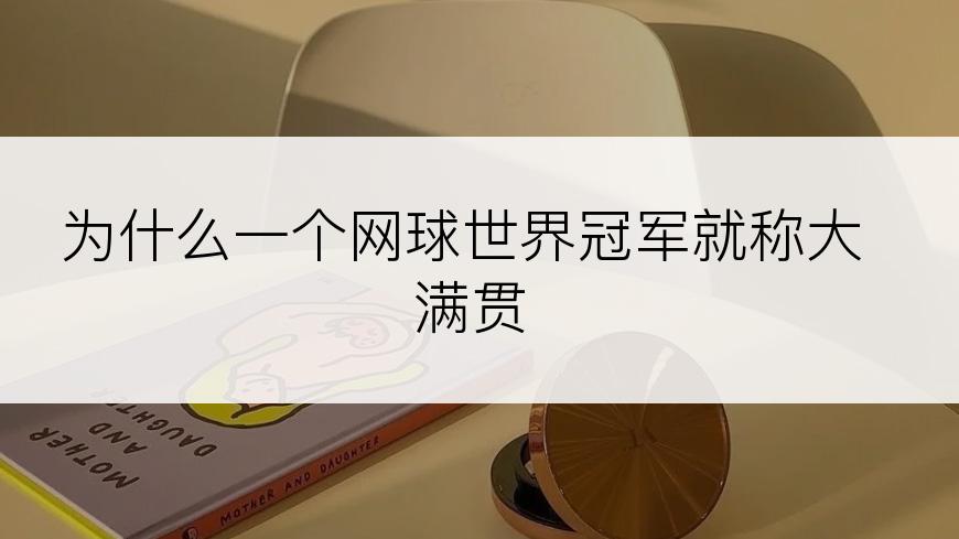 为什么一个网球世界冠军就称大满贯