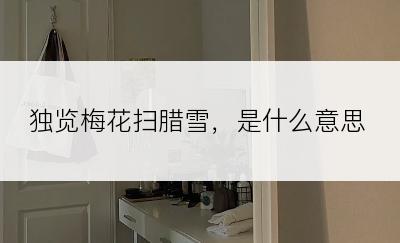 独览梅花扫腊雪，是什么意思