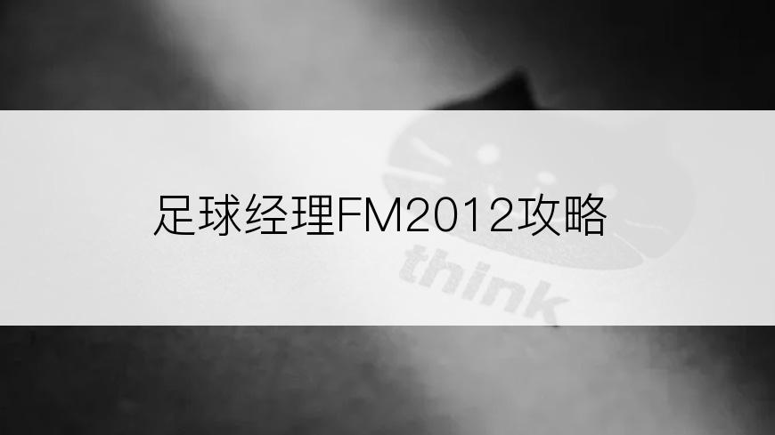 足球经理FM2012攻略