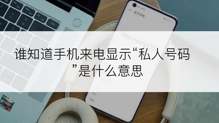 谁知道手机来电显示“私人号码”是什么意思