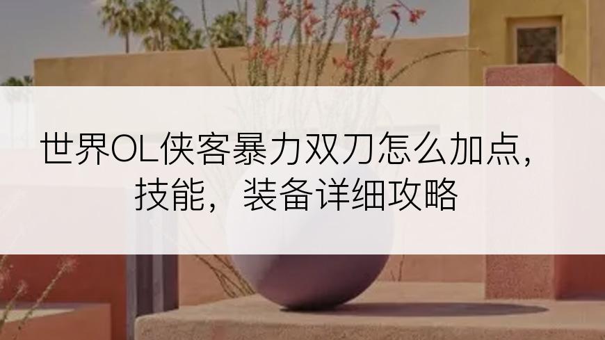 世界OL侠客暴力双刀怎么加点，技能，装备详细攻略