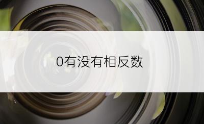 0有没有相反数