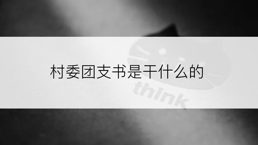 村委团支书是干什么的
