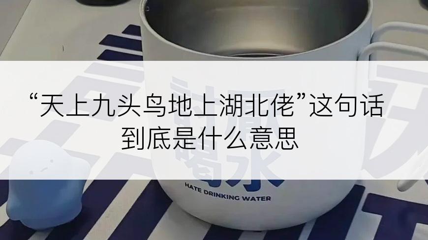 “天上九头鸟地上湖北佬”这句话到底是什么意思