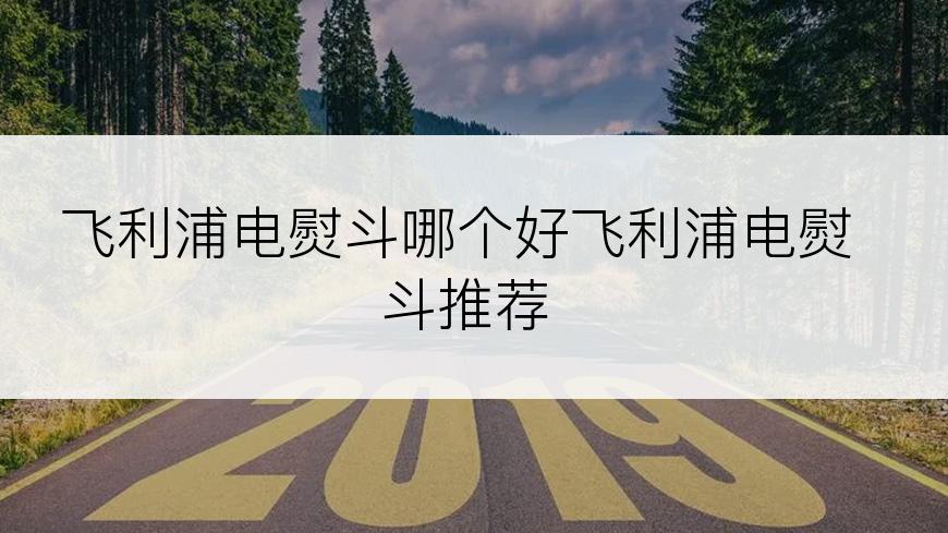飞利浦电熨斗哪个好飞利浦电熨斗推荐