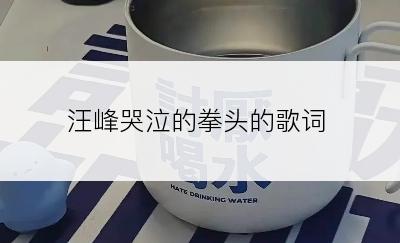 汪峰哭泣的拳头的歌词