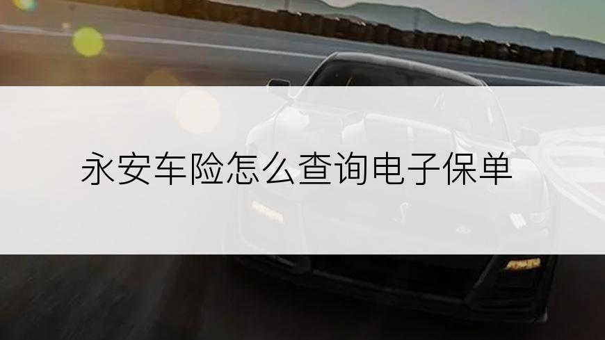 永安车险怎么查询电子保单