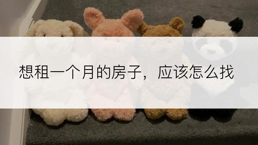 想租一个月的房子，应该怎么找
