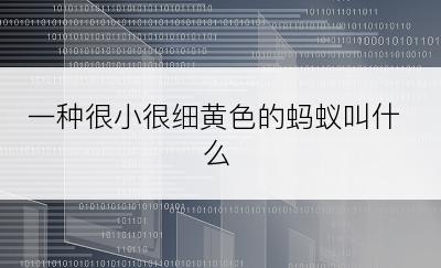 一种很小很细黄色的蚂蚁叫什么
