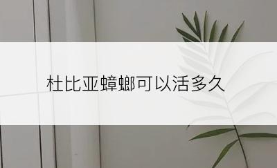 杜比亚蟑螂可以活多久
