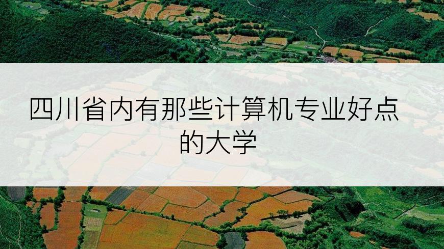 四川省内有那些计算机专业好点的大学