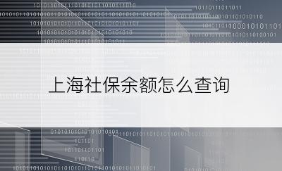 上海社保余额怎么查询