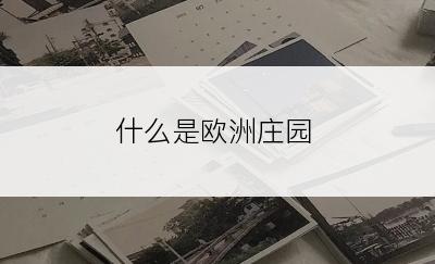 什么是欧洲庄园