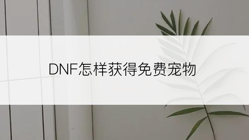 DNF怎样获得免费宠物