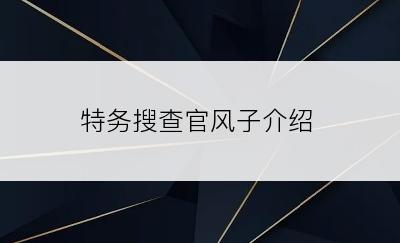 特务搜查官风子介绍