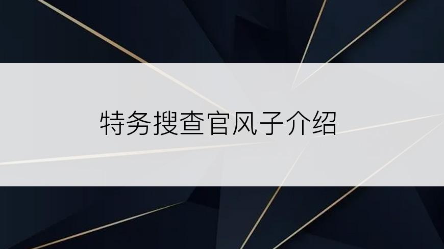 特务搜查官风子介绍