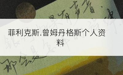 菲利克斯.曾姆丹格斯个人资料