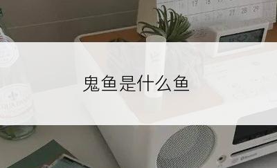 鬼鱼是什么鱼