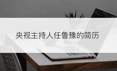 央视主持人任鲁豫的简历