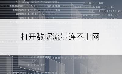打开数据流量连不上网