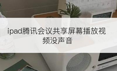 ipad腾讯会议共享屏幕播放视频没声音