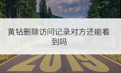黄钻删除访问记录对方还能看到吗