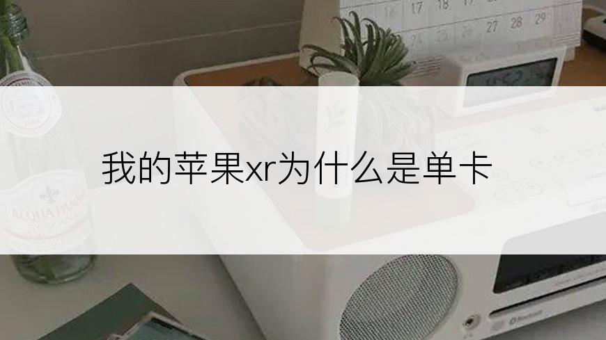 我的苹果xr为什么是单卡