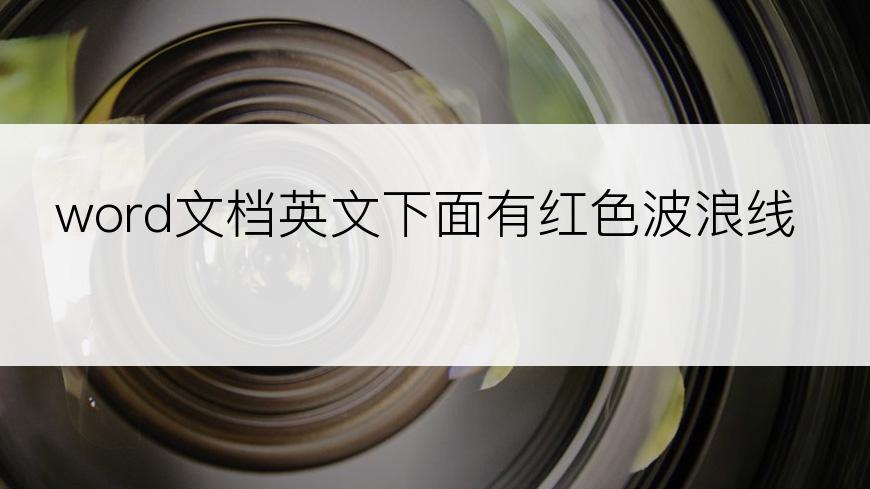 word文档英文下面有红色波浪线