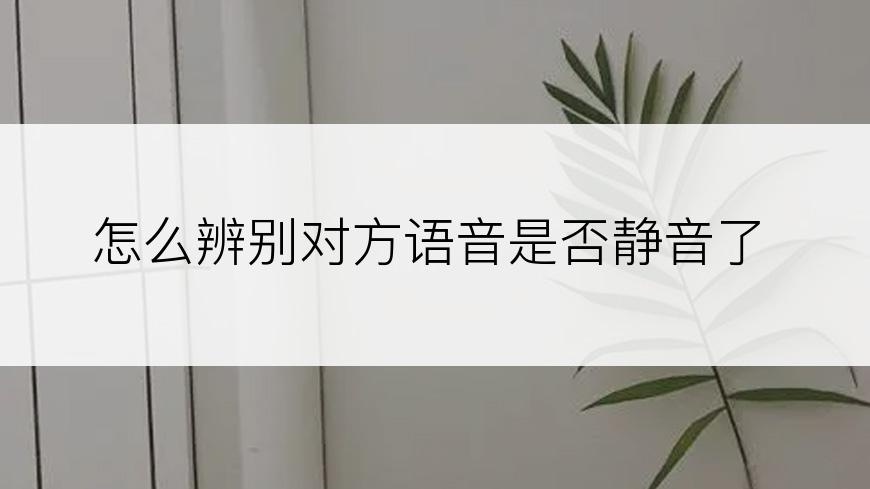 怎么辨别对方语音是否静音了