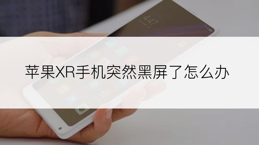 苹果XR手机突然黑屏了怎么办
