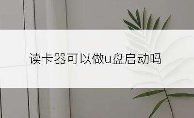 读卡器可以做u盘启动吗