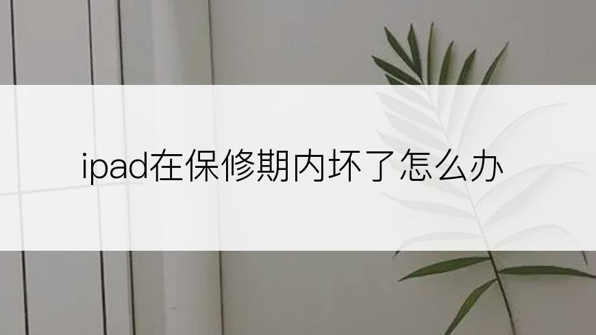 ipad在保修期内坏了怎么办