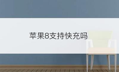 苹果8支持快充吗