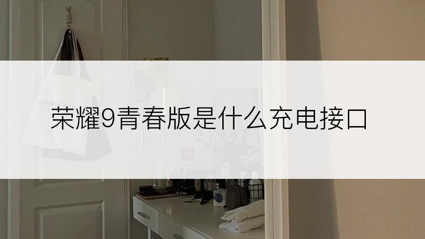 荣耀9青春版是什么充电接口