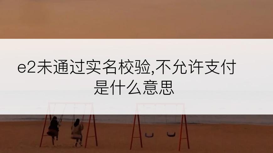 e2未通过实名校验,不允许支付是什么意思