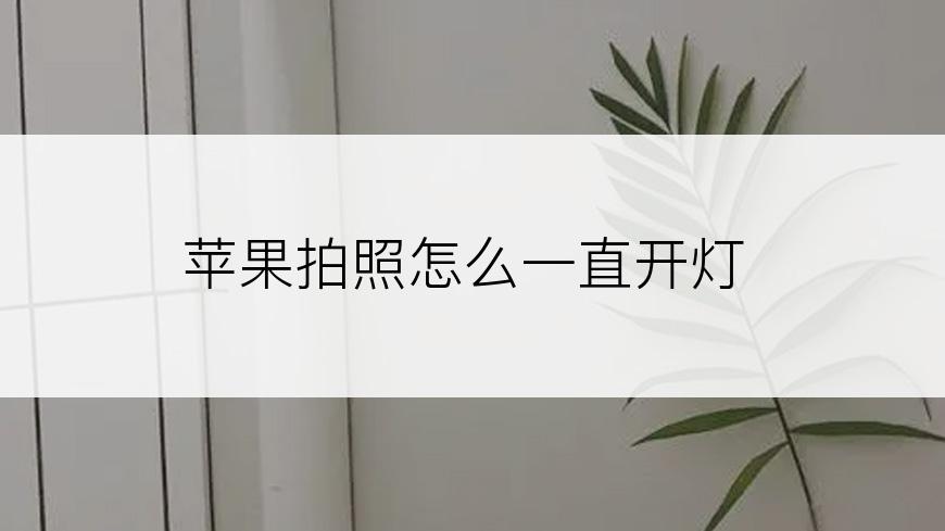 苹果拍照怎么一直开灯