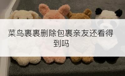 菜鸟裹裹删除包裹亲友还看得到吗