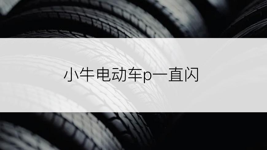 小牛电动车p一直闪