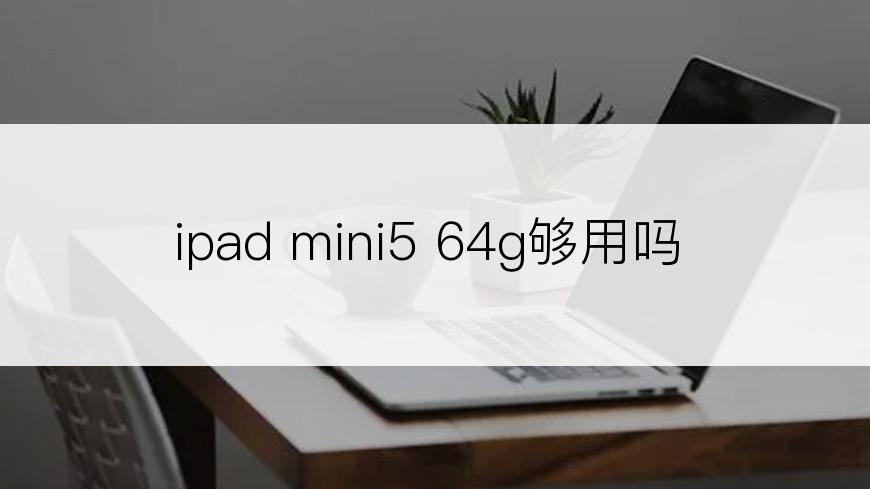 ipad mini5 64g够用吗